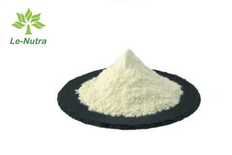 Serrapeptase पाउडर थोक