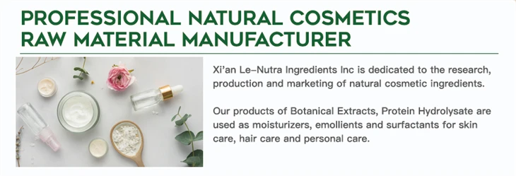 Soy Peptides Powder